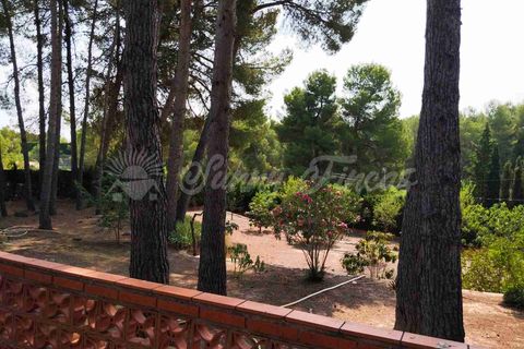 Landejendom i Almansa, Albacete, Almansa - € 235.000 | Ref: SF0548 - foto 29